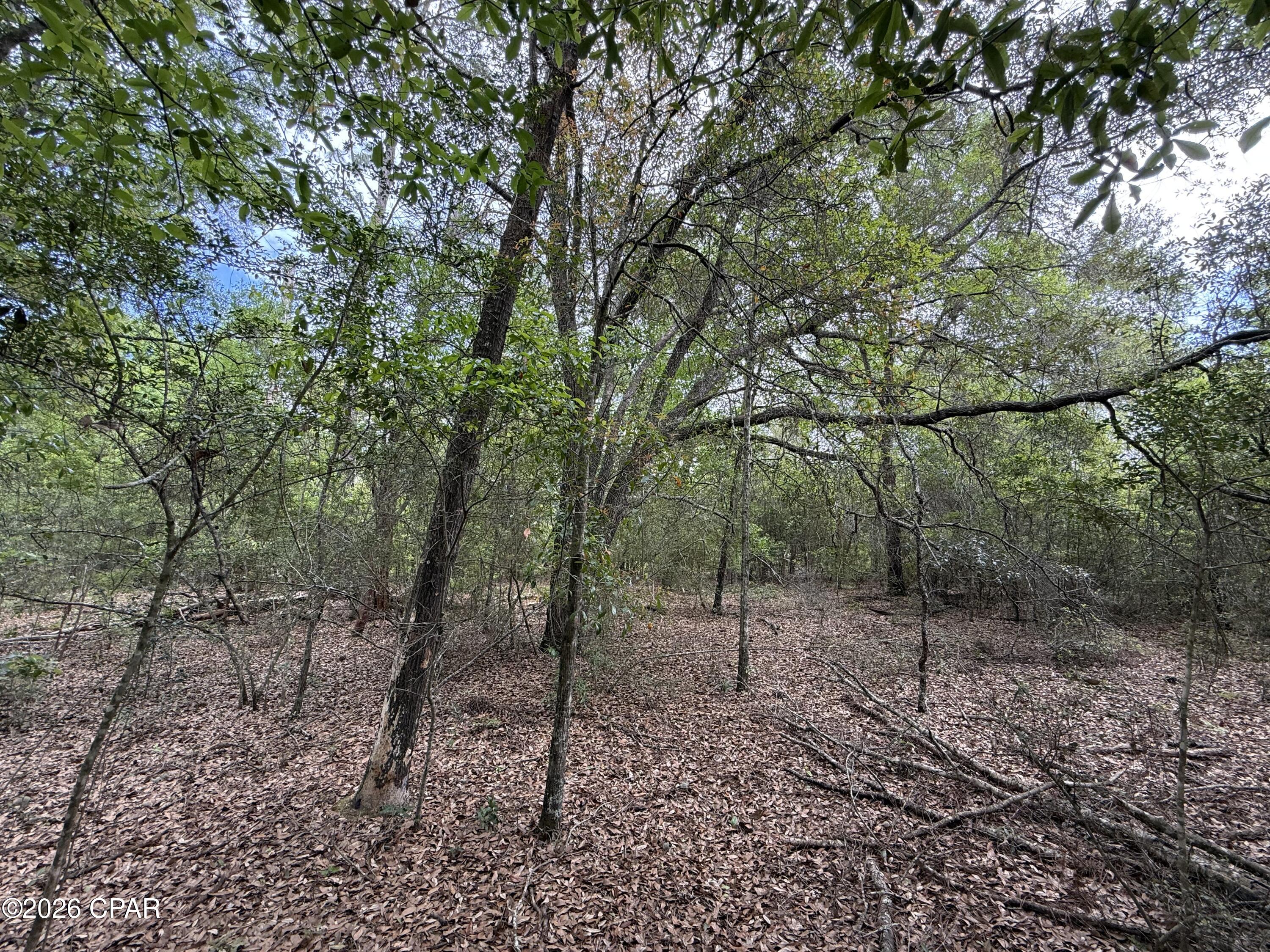 19678 Walsh Road Fountain, FL 32438 - Photo 9 of 17