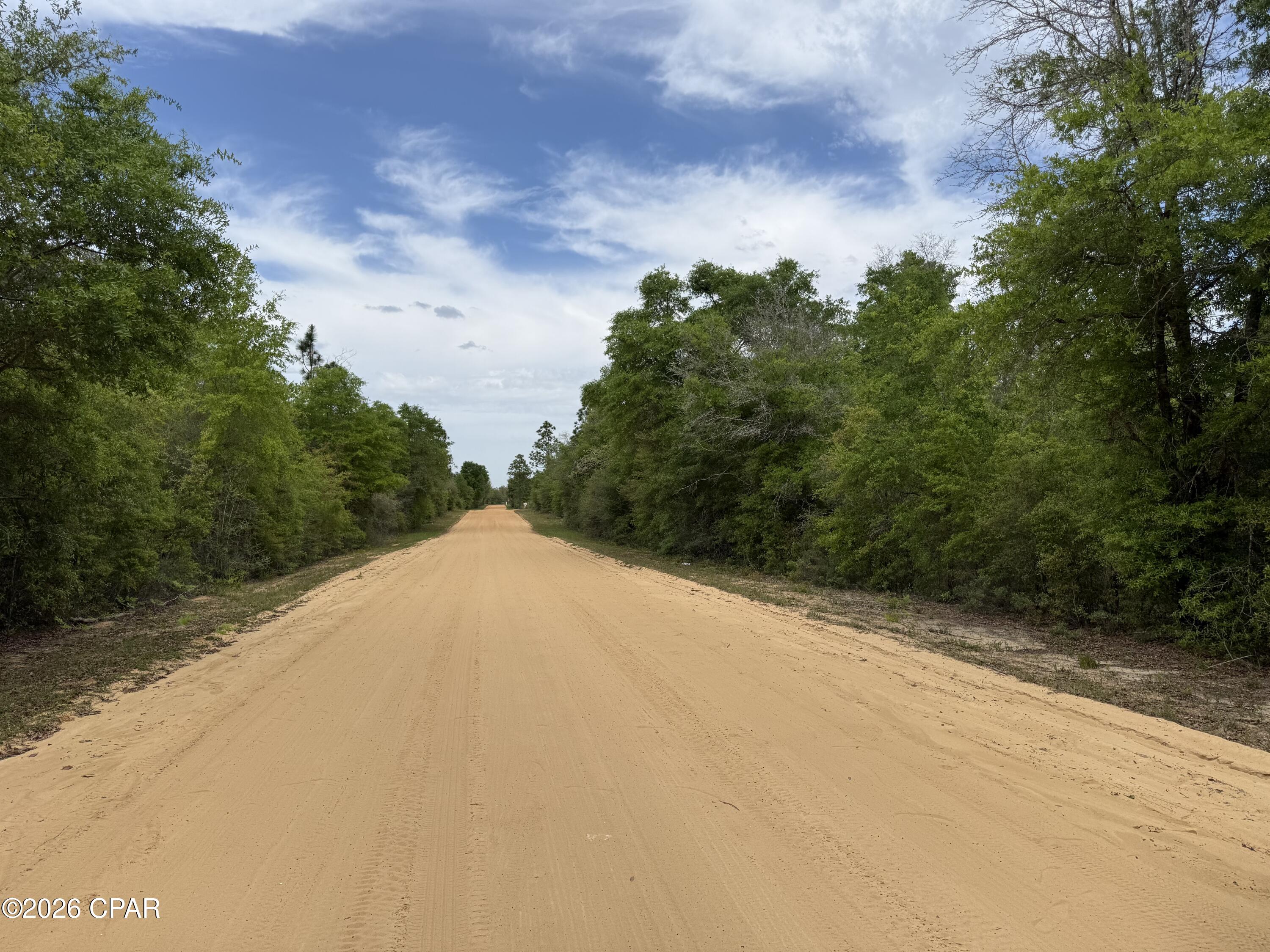 19678 Walsh Road Fountain, FL 32438 - Photo 10 of 17