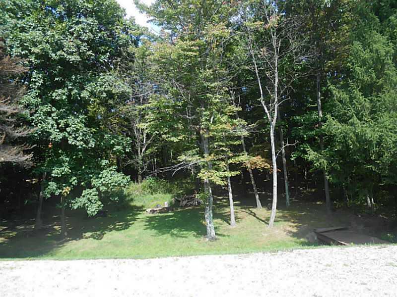 1667 Shady Plain Road Apollo, PA 15613 - Photo 3 of 11 Yard/Garden. Back of the property with woods