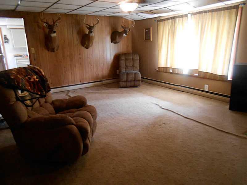 1667 Shady Plain Road Apollo, PA 15613 - Photo 7 of 11 Living Room.