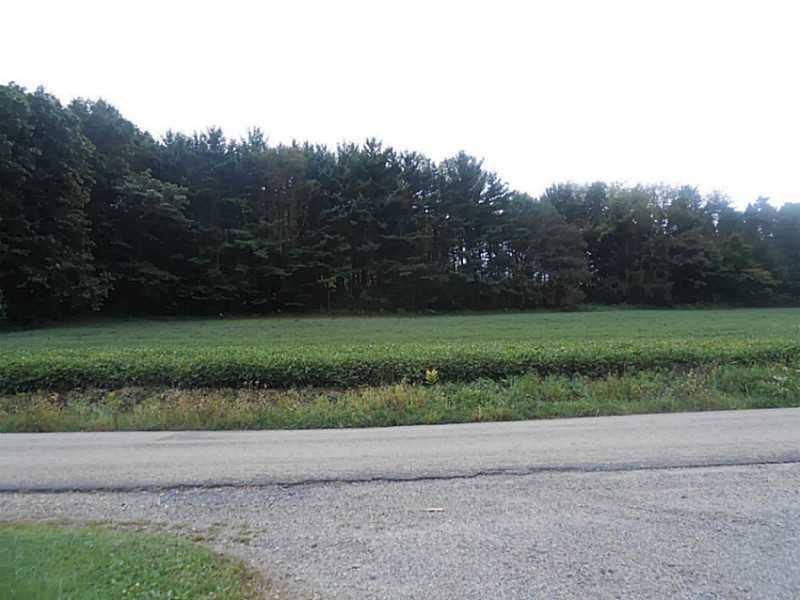 1667 Shady Plain Road Apollo, PA 15613 - Photo 9 of 11 View. View across the street from the home