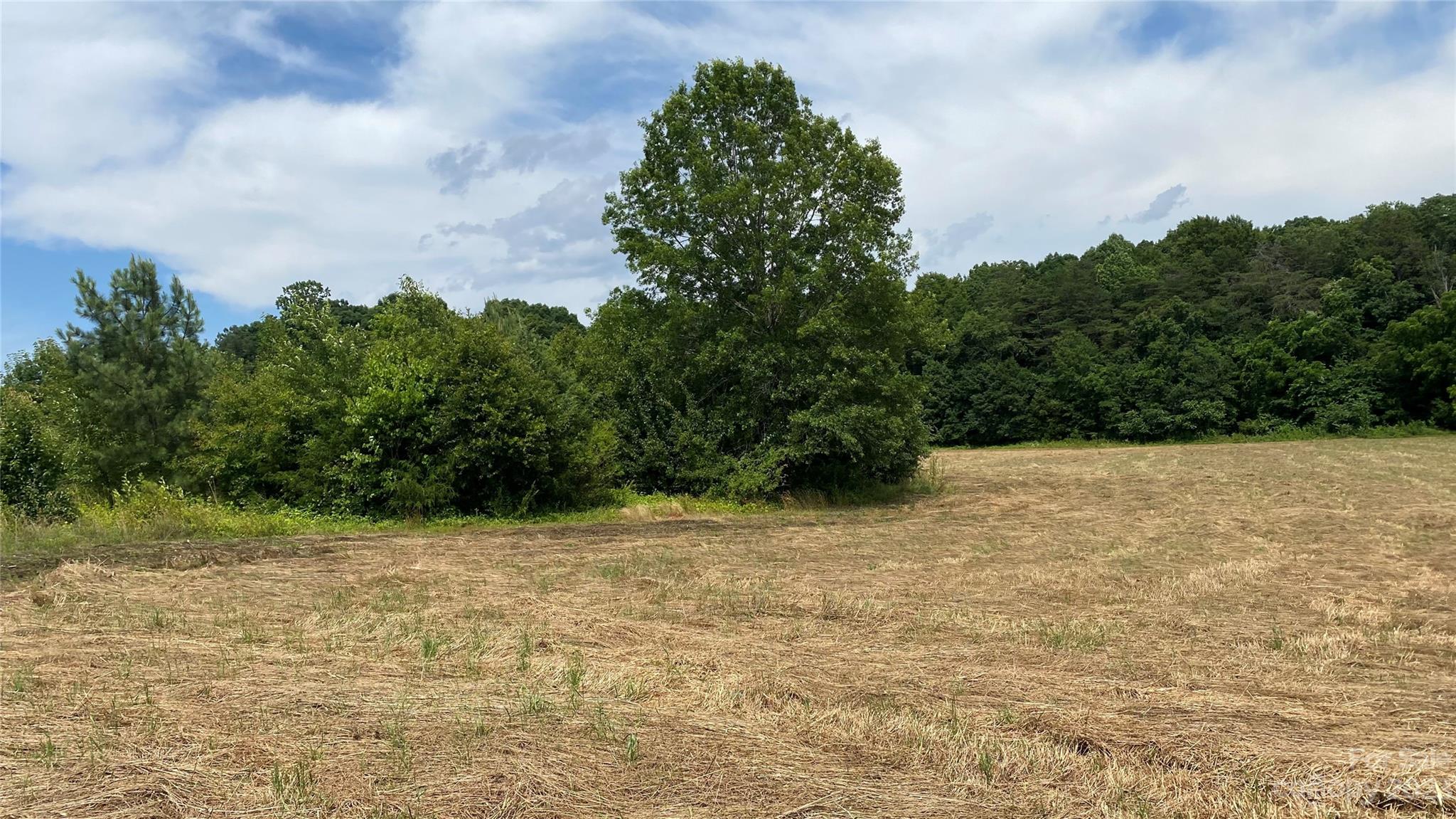 612 Lynch Road, Unit 4 Lincolnton, NC 28092 - Photo 3 of 8 Gallery Image 3