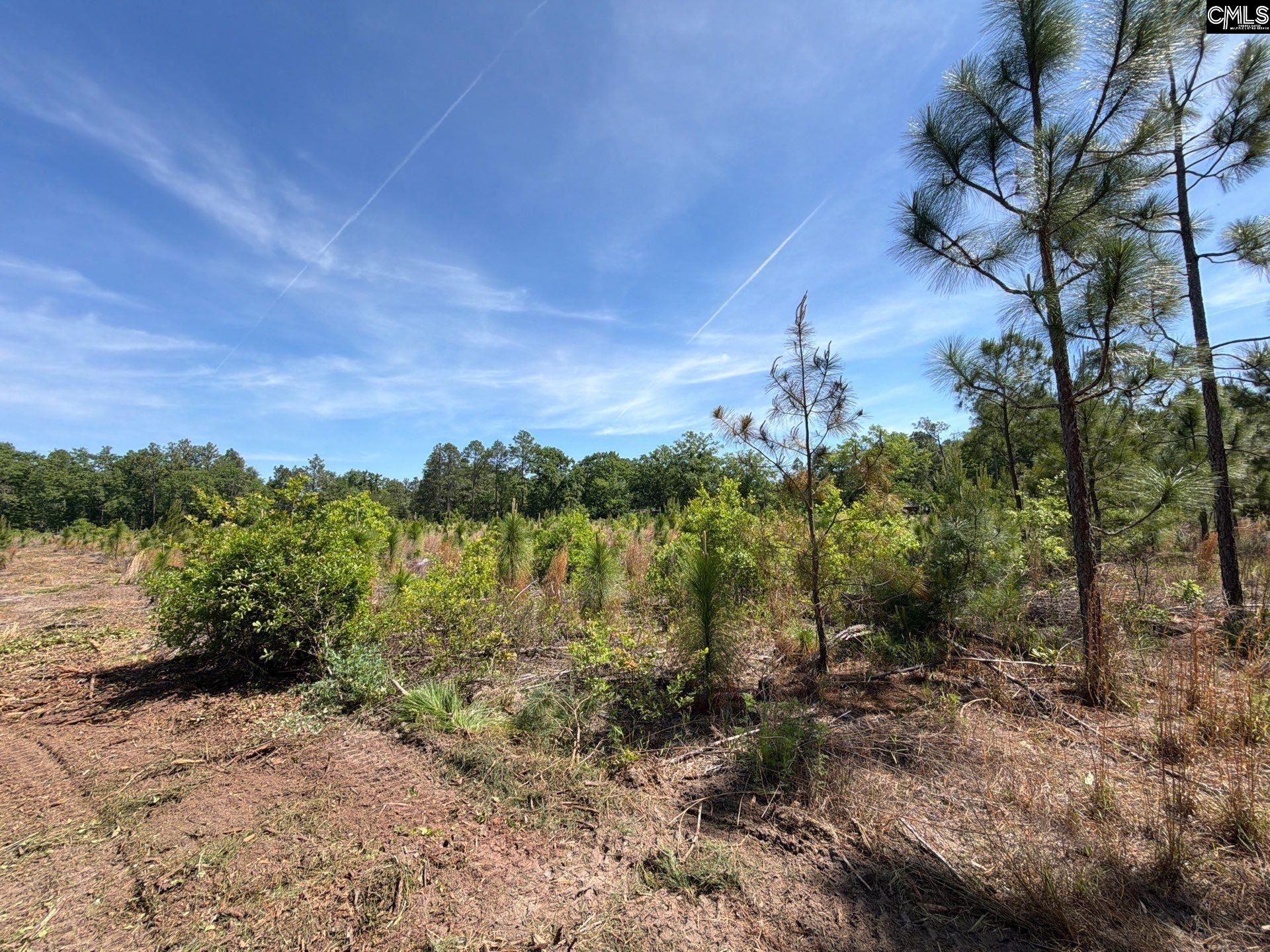 8 Holstein Road Wagener, SC 29164 - Photo 9 of 14