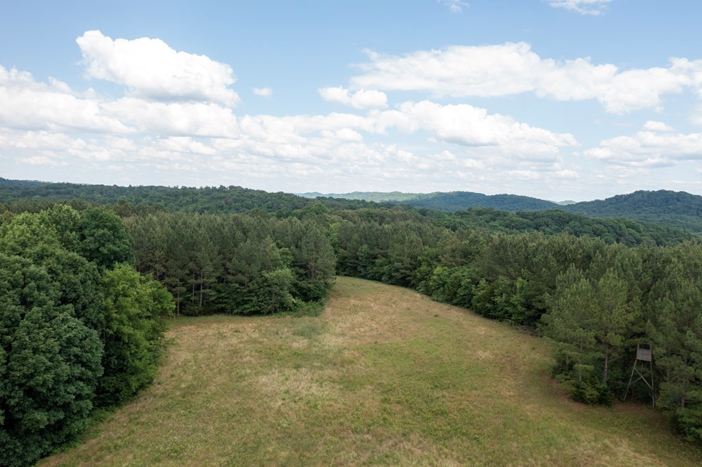 1 State Highway Calhoun, TN 37309 - Photo 9 of 20