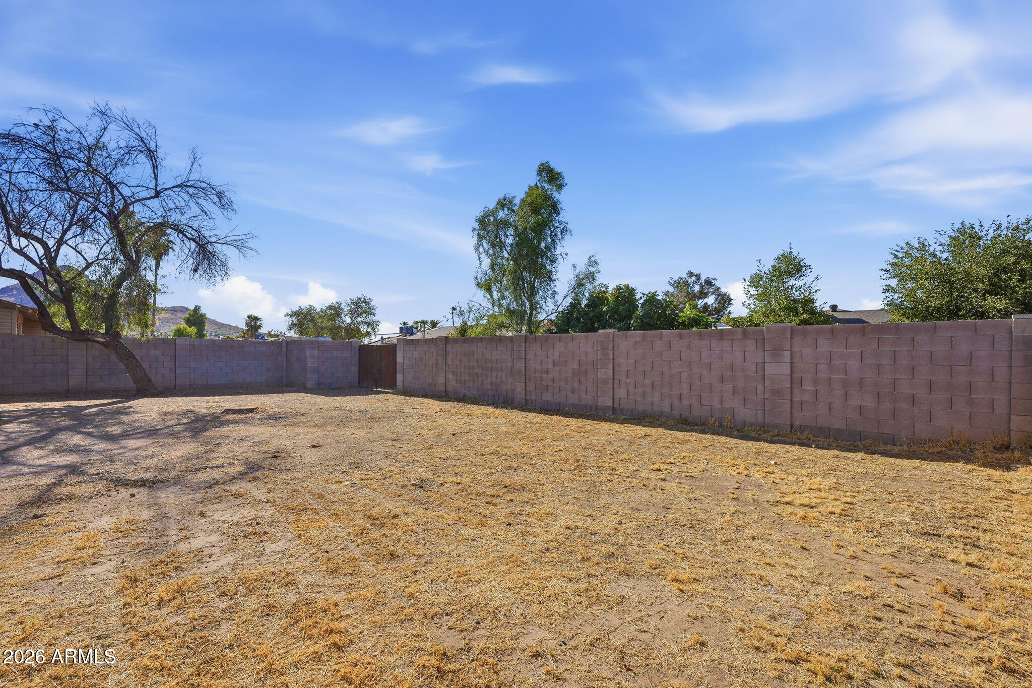 2302 East Nisbet Road Phoenix, AZ 85022 - Photo 20 of 22 a backyard of a house