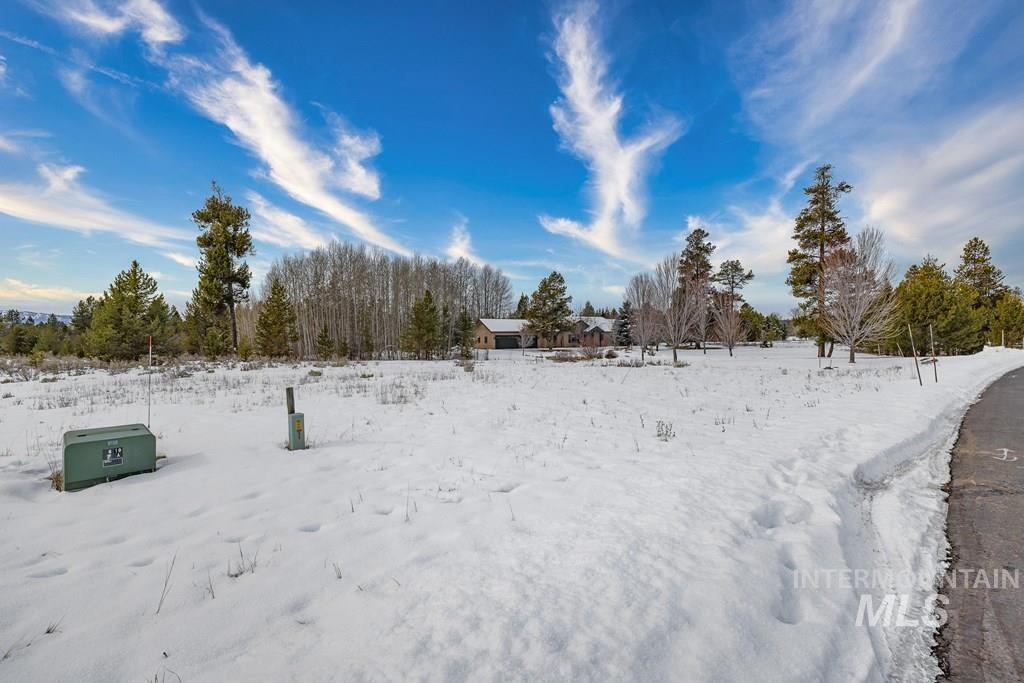 241 West Jug Road McCall, ID 83638 - Photo 9 of 18 Yard covered in snow featuring view of scattered trees