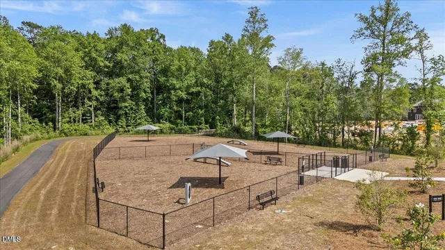 a view of a backyard with a tree