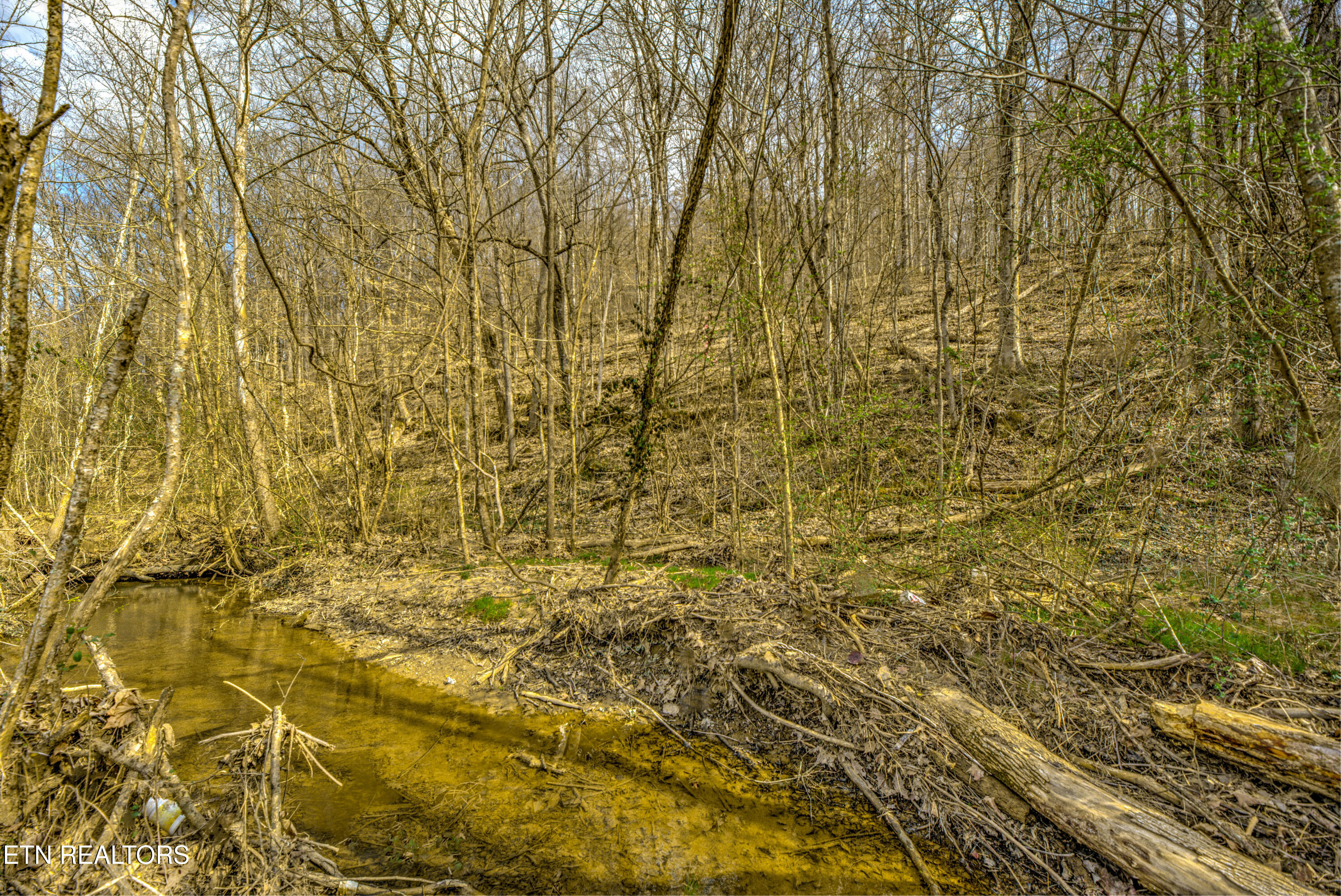 3275 West Wolf Valley Road Clinton, TN 37716 - Photo 15 of 15 6-print-DSC_1403_4_5