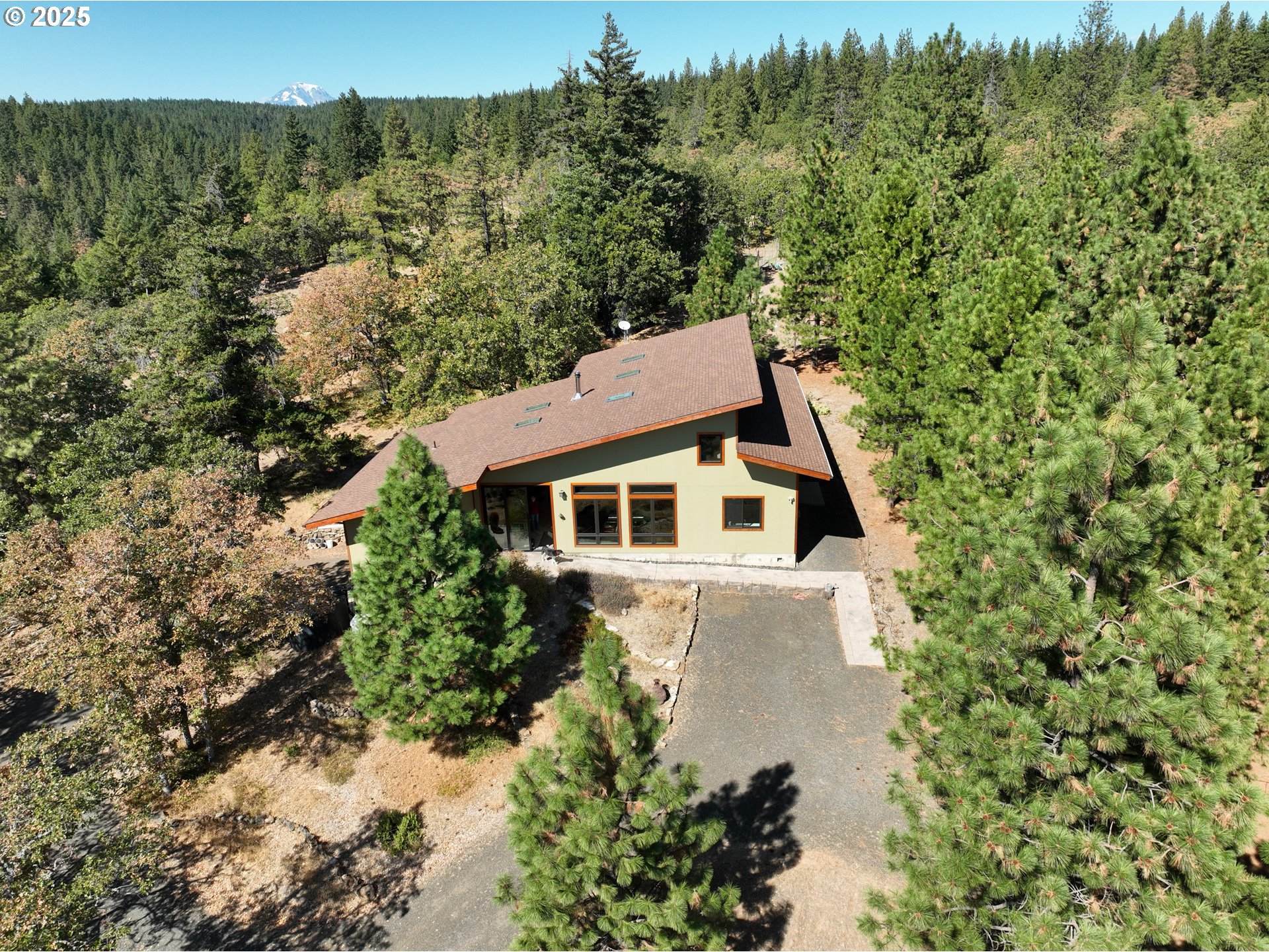 a aerial view of a house with a yard and large tree
