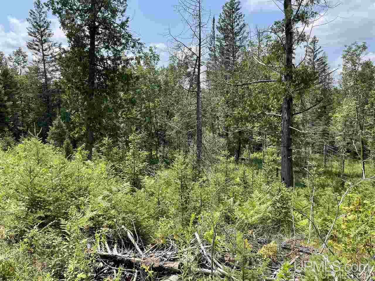 Tbd Off Nowack Road, Unit 1 Powers, MI 49874 - Photo 21 of 32