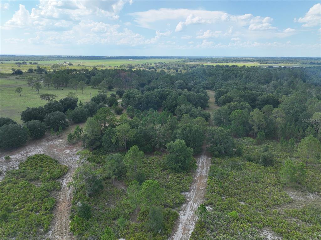 West Terreno Road Fort Meade, FL 33841 - Photo 12 of 14