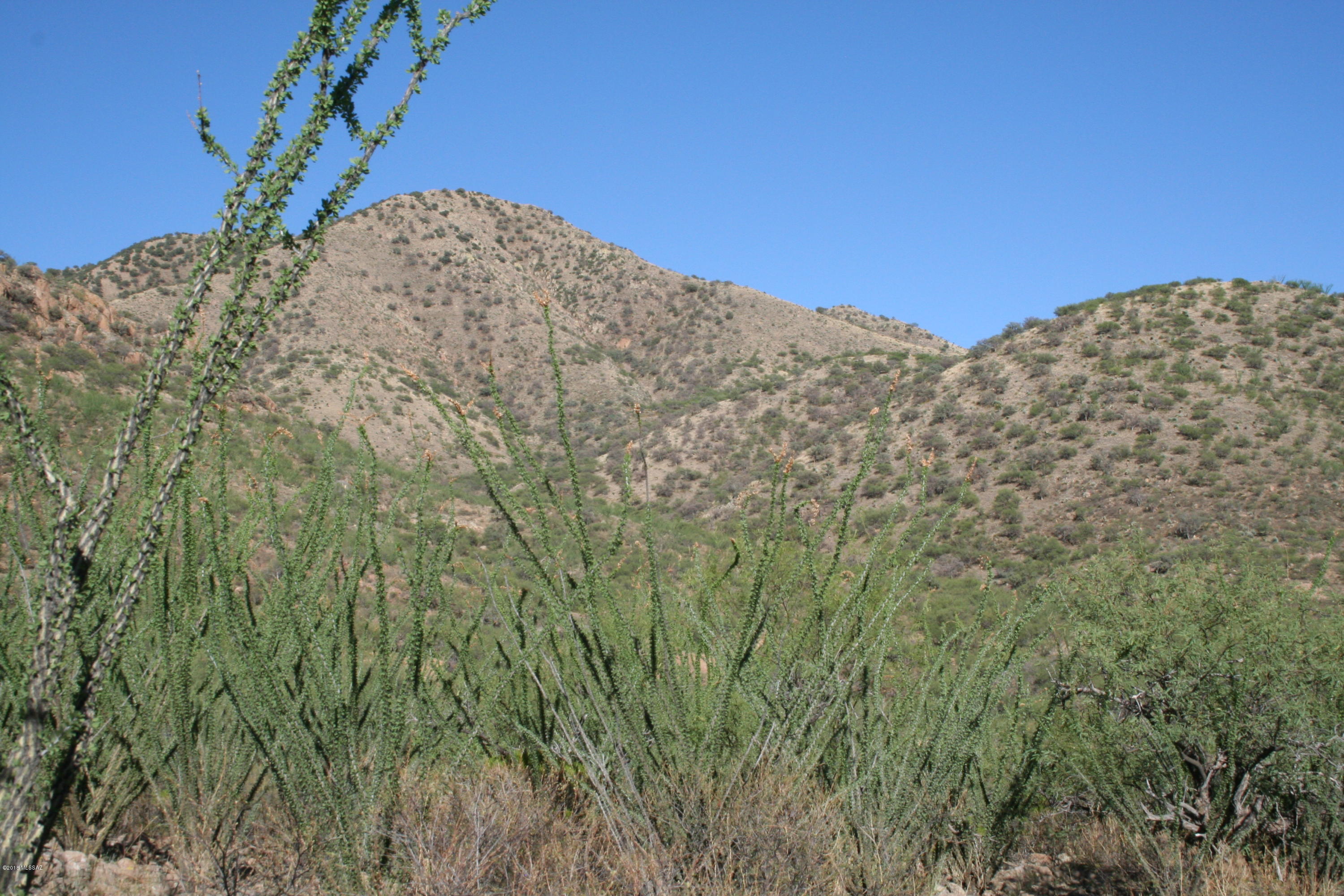 37 Copper Canyon Road, Unit 140 Rio Rico, AZ 85648 - Photo 14 of 17 IMG_9469
