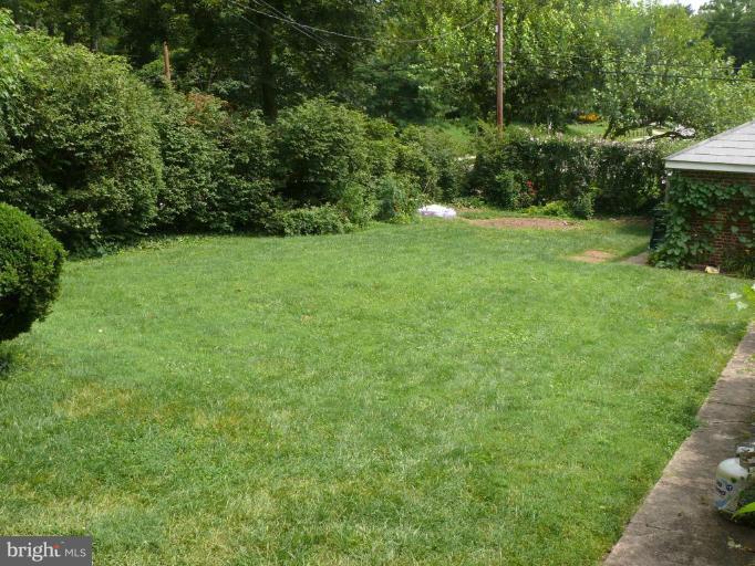 215 Overhill Road Baltimore, MD 21210 - Photo 17 of 19 Back yard