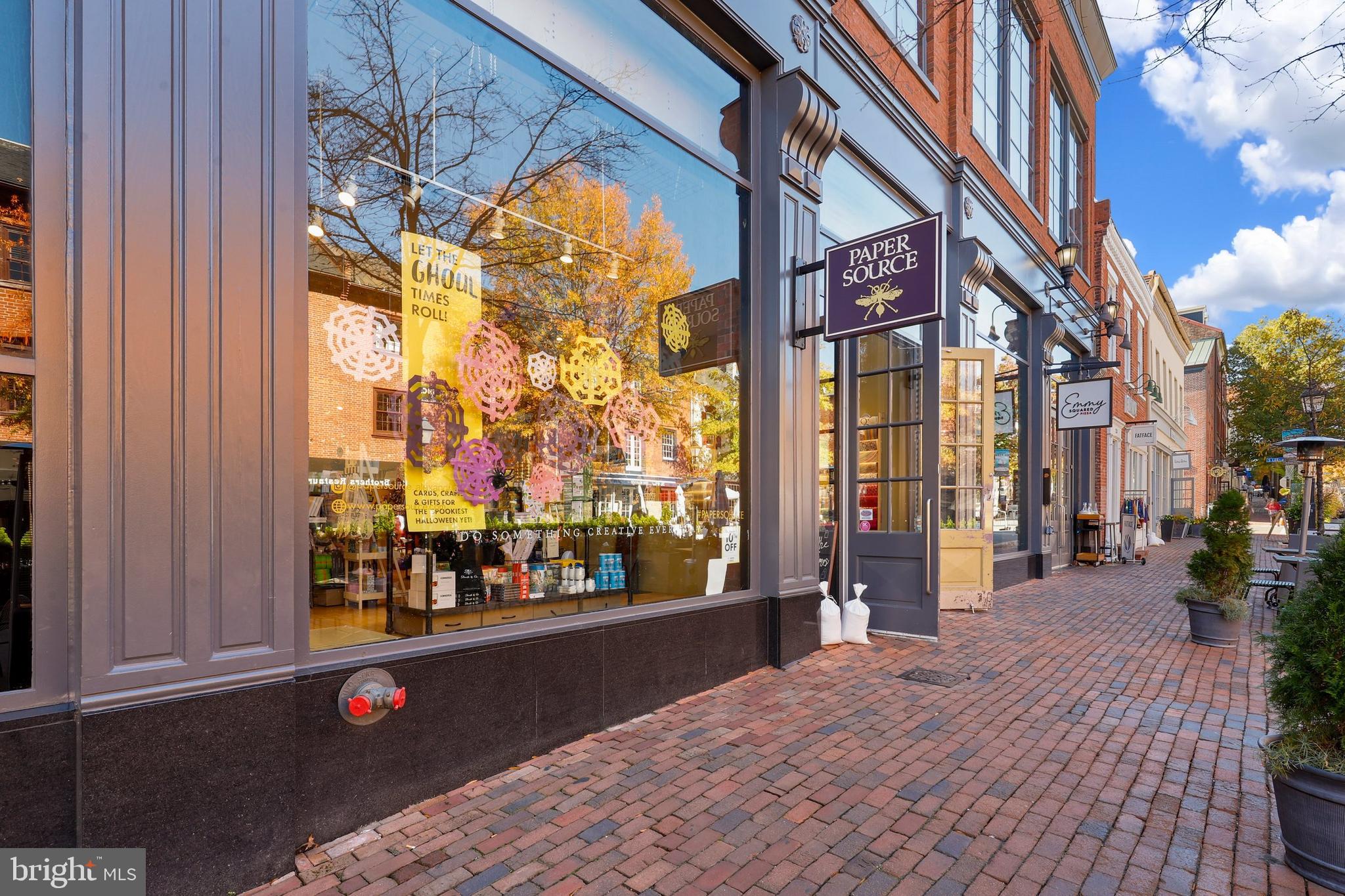 7984 Audubon Avenue, Unit 203 Alexandria, VA 22306 - Photo 36 of 53