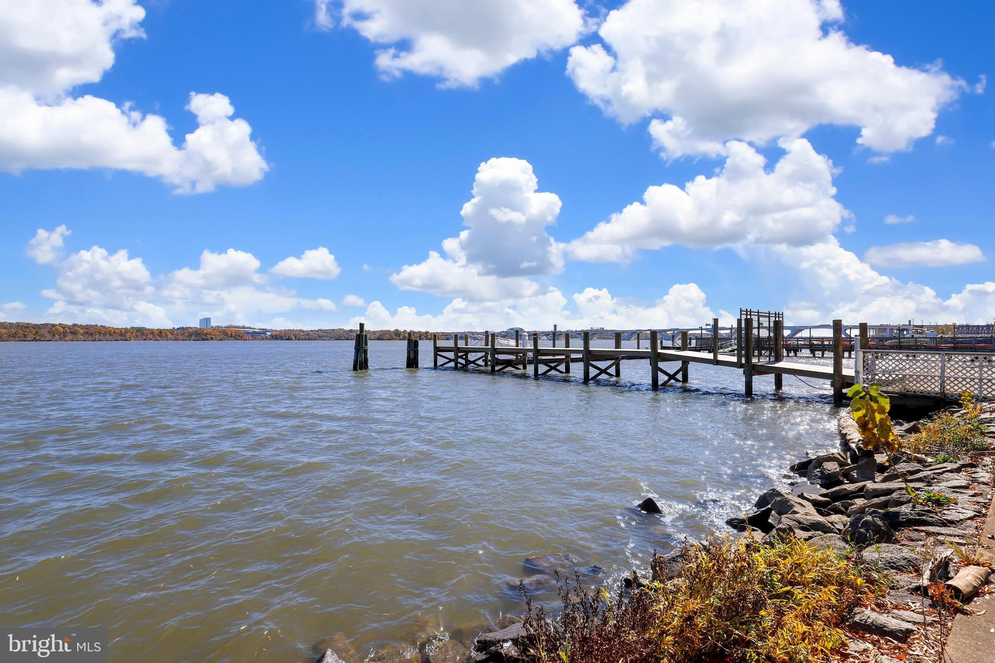 7984 Audubon Avenue, Unit 203 Alexandria, VA 22306 - Photo 39 of 53