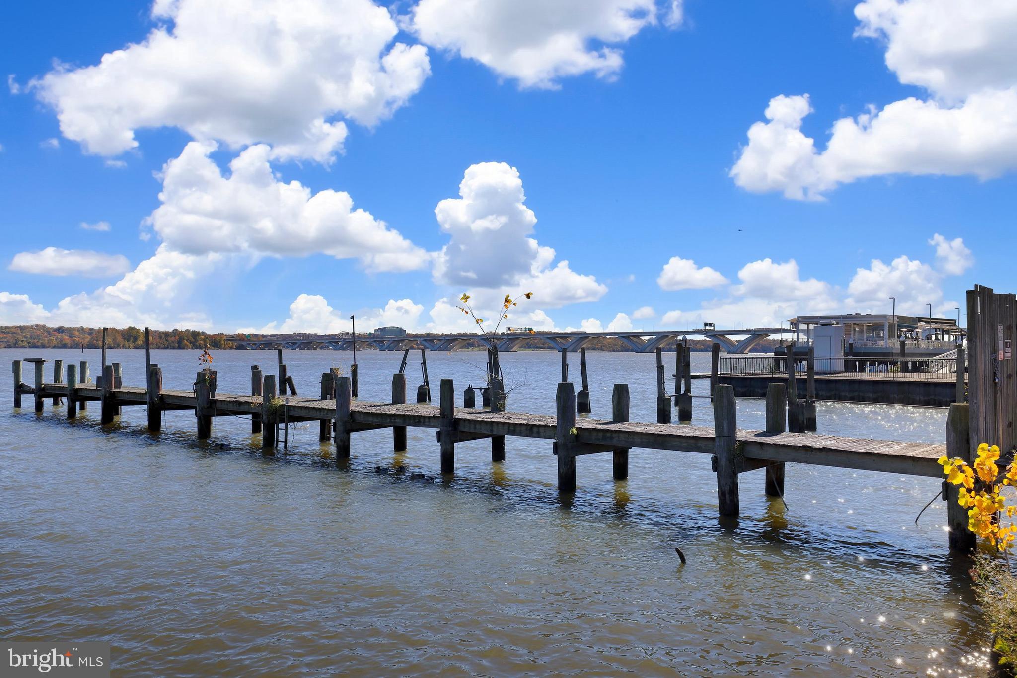 7984 Audubon Avenue, Unit 203 Alexandria, VA 22306 - Photo 40 of 53