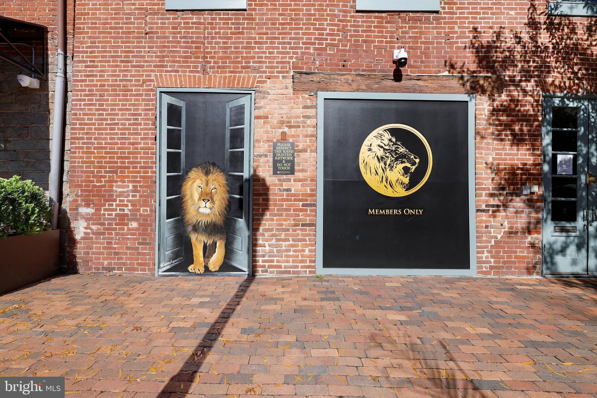 7984 Audubon Avenue, Unit 203 Alexandria, VA 22306 - Photo 46 of 53