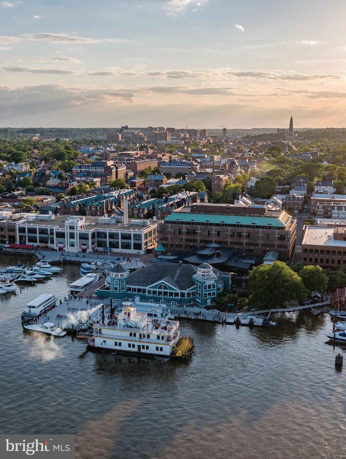 7984 Audubon Avenue, Unit 203 Alexandria, VA 22306 - Photo 52 of 53