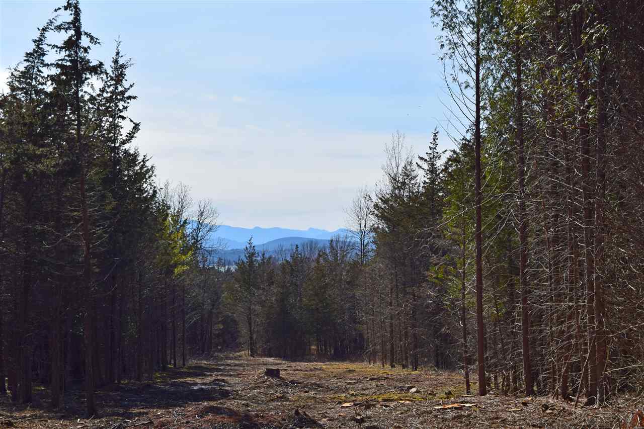 Lot 4 B Lake Road Charlotte, VT 05445 - Photo 1 of 3 Gallery Image 1