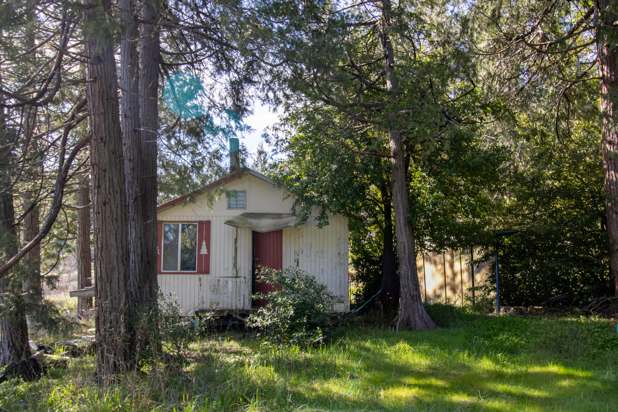 297 Warren Road Selma, OR 97538 - Photo 10 of 14 297 8