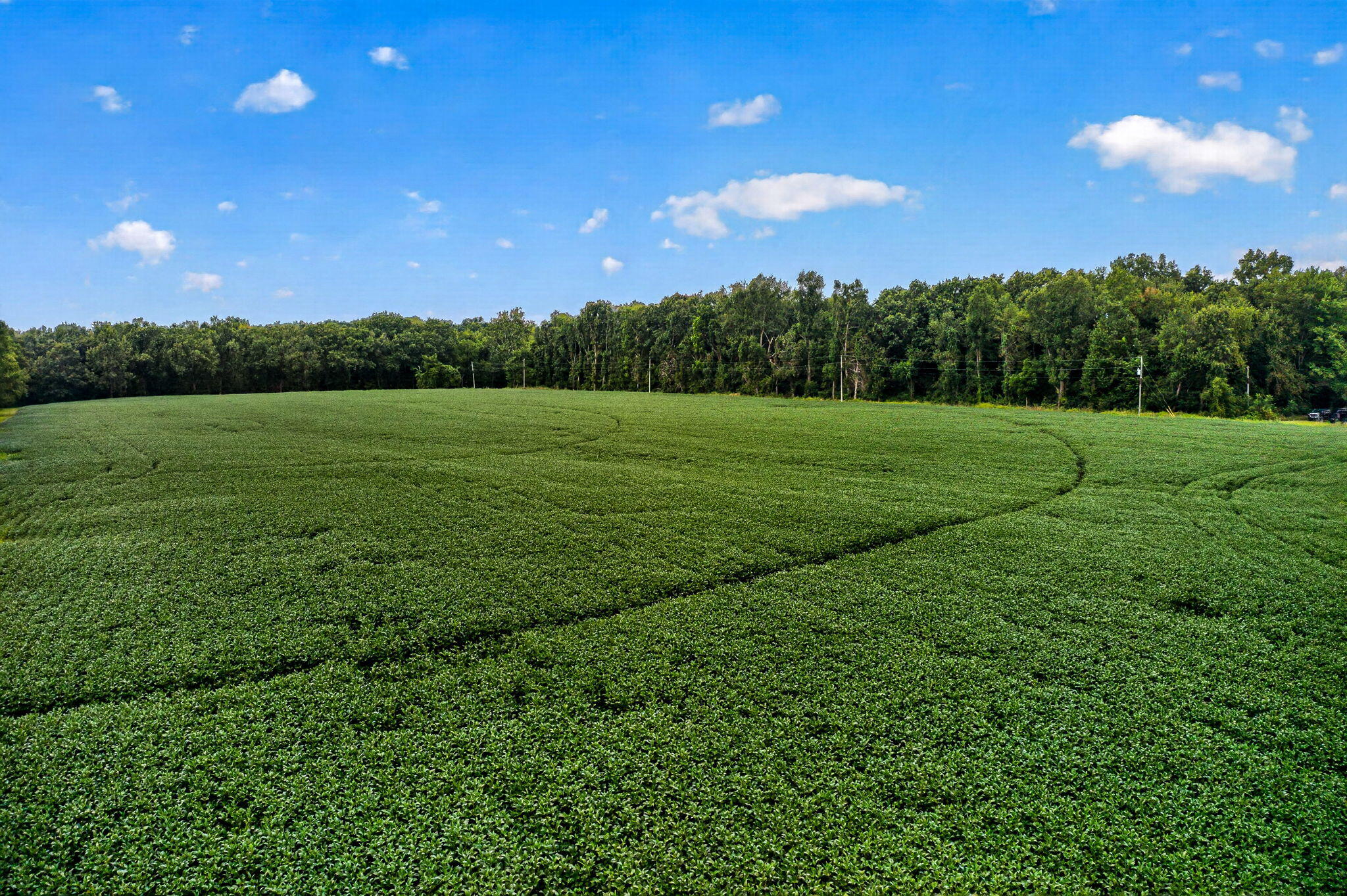61519 Neaman Road Constantine, MI 49042 - Photo 42 of 64 61519 Neaman Rd-75