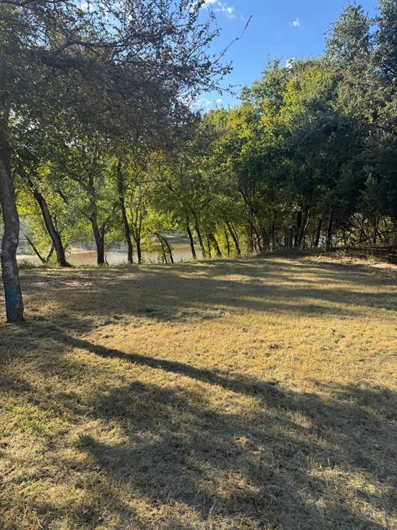 1021 Riverview Road Millsap, TX 76066 - Photo 11 of 26 View of tree filled area