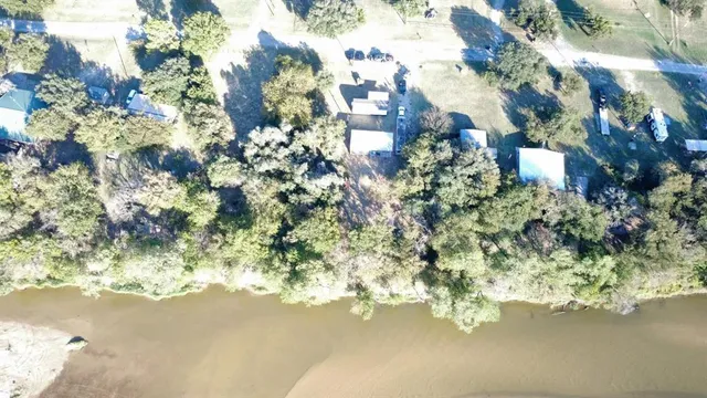 a picture of flowers