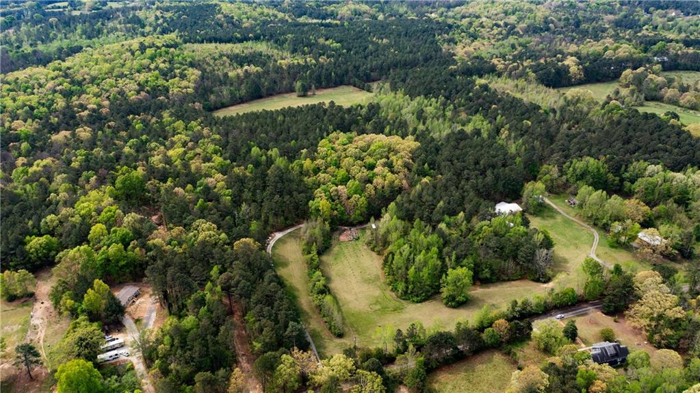 600 Taylorsville Road Aragon, GA 30104 - Photo 11 of 18 a view of a garden with a tree