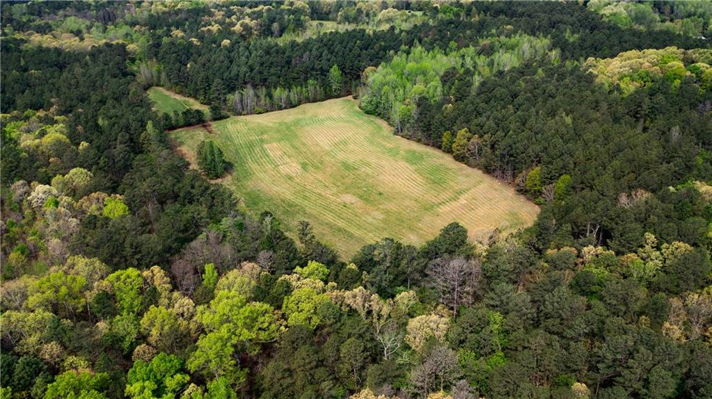 600 Taylorsville Road Aragon, GA 30104 - Photo 12 of 18 a view of a yard