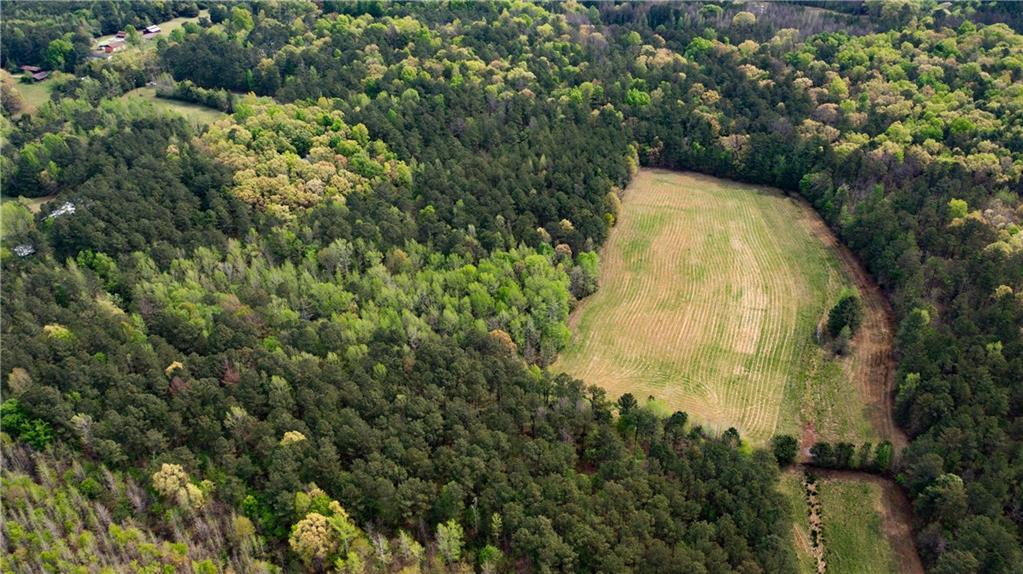 600 Taylorsville Road Aragon, GA 30104 - Photo 17 of 18