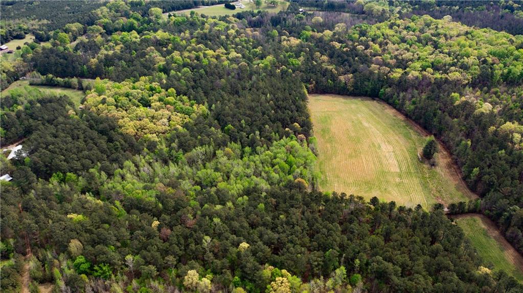 600 Taylorsville Road Aragon, GA 30104 - Photo 18 of 18 a view of a yard