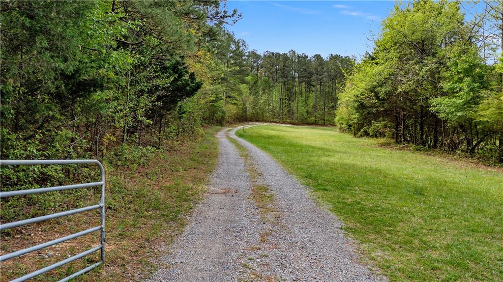 600 Taylorsville Road Aragon, GA 30104 - Photo 6 of 18 a view of a yard with plants