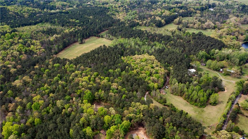 600 Taylorsville Road Aragon, GA 30104 - Photo 9 of 18 a view of a forest with a tree