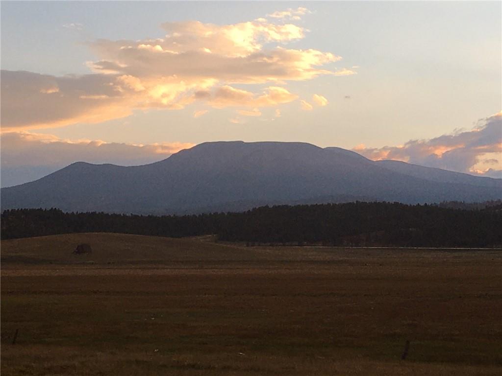 0 Thousand Peaks Hartsel, CO 80449 - Photo 3 of 28 a view of mountain