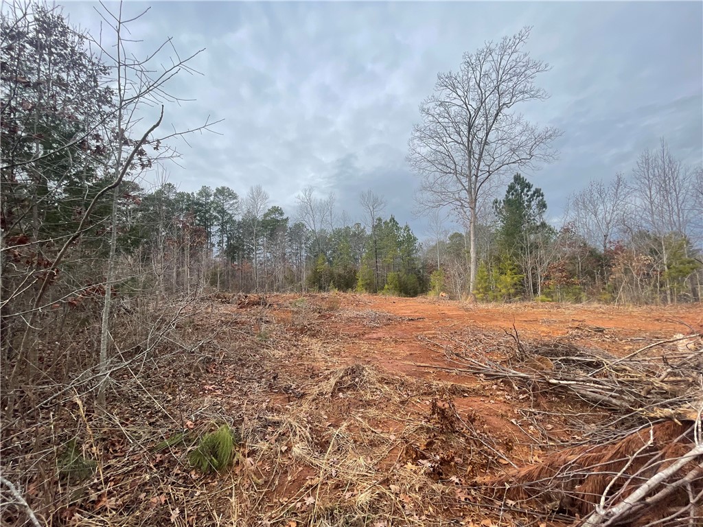 250 West Bryant Road West Union, SC 29696 - Photo 12 of 42 Gallery Image 12