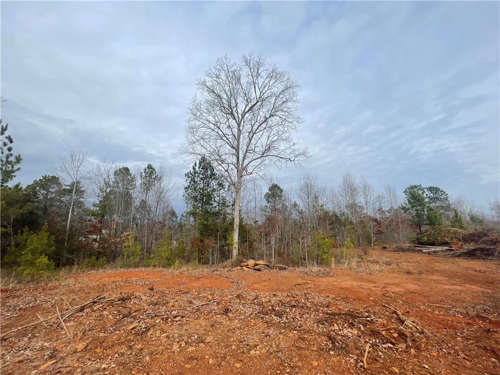 250 West Bryant Road West Union, SC 29696 - Photo 15 of 42 Gallery Image 15