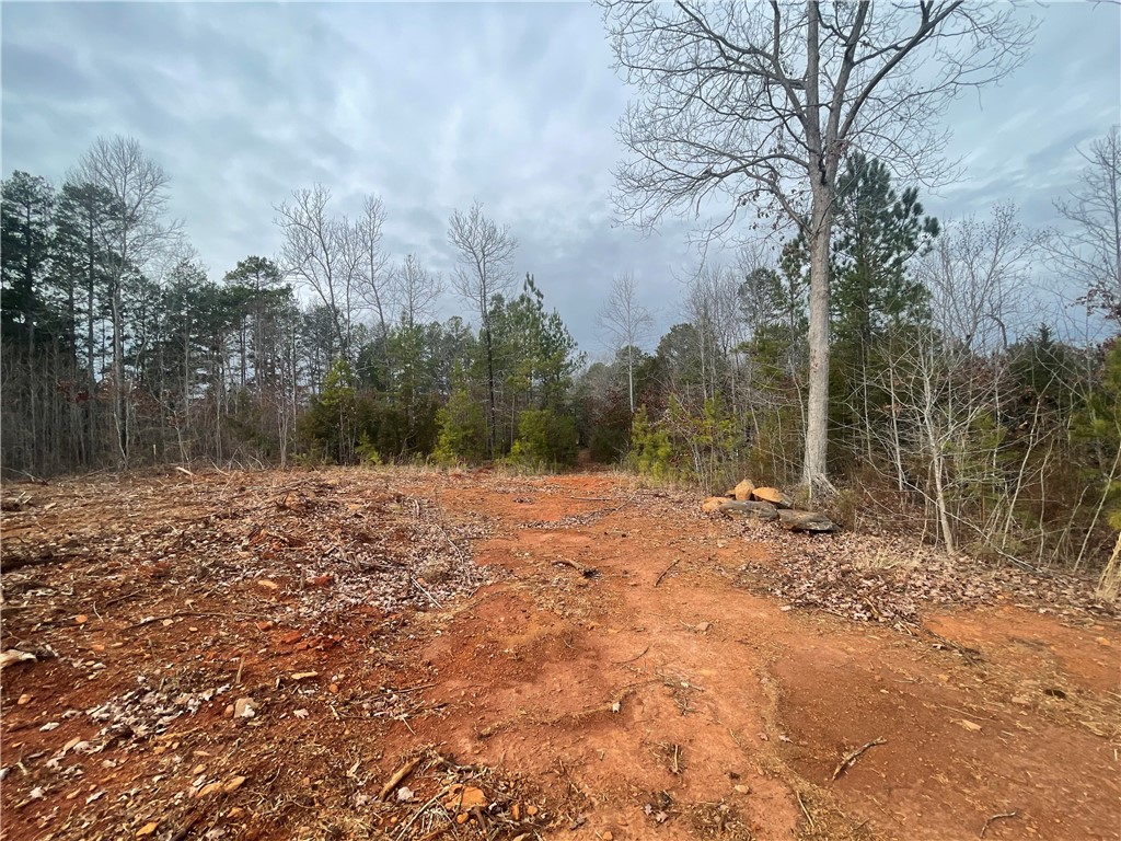 250 West Bryant Road West Union, SC 29696 - Photo 17 of 42 Gallery Image 17