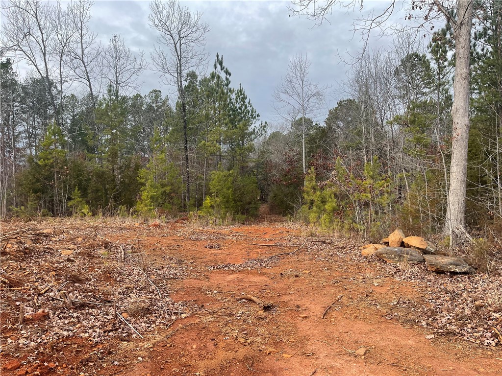 250 West Bryant Road West Union, SC 29696 - Photo 18 of 42 Gallery Image 18