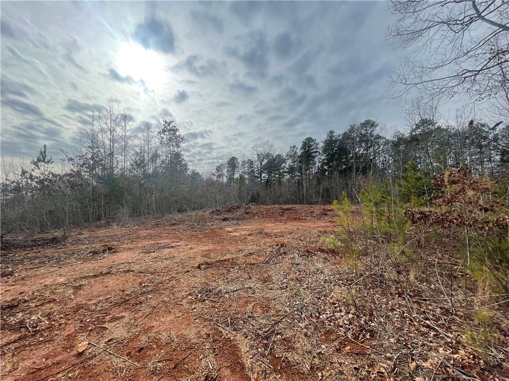 250 West Bryant Road West Union, SC 29696 - Photo 19 of 42 Gallery Image 19