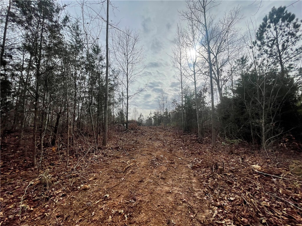 250 West Bryant Road West Union, SC 29696 - Photo 21 of 42 Gallery Image 21