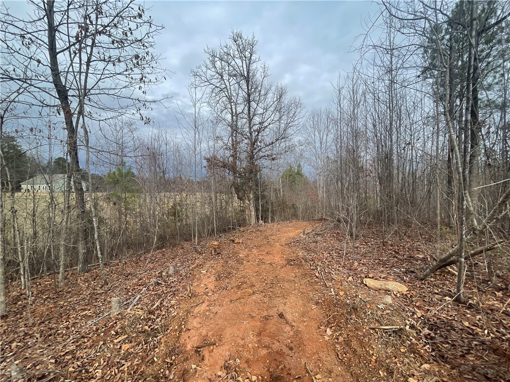 250 West Bryant Road West Union, SC 29696 - Photo 22 of 42 Gallery Image 22