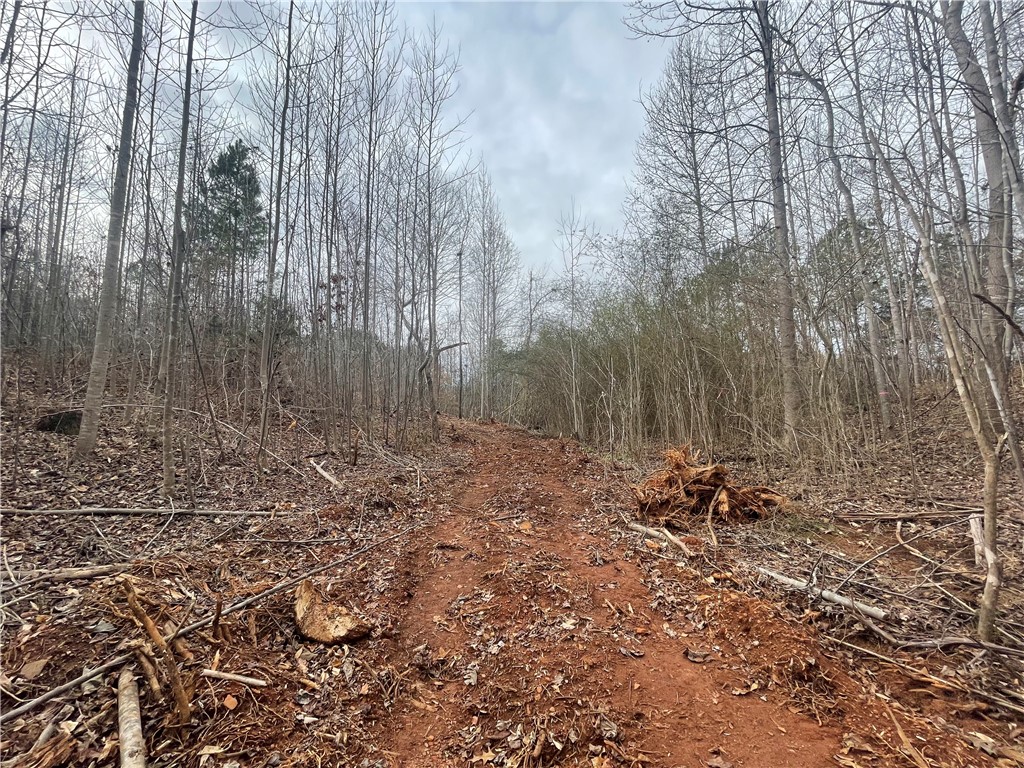 250 West Bryant Road West Union, SC 29696 - Photo 24 of 42 Gallery Image 24