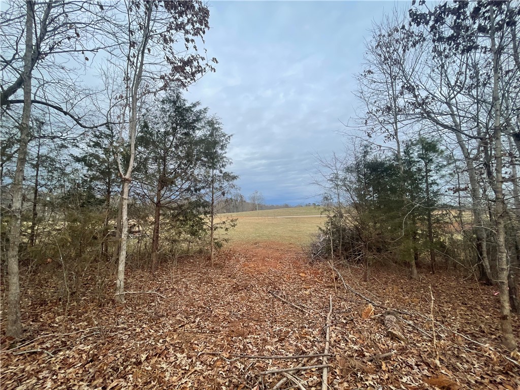 250 West Bryant Road West Union, SC 29696 - Photo 25 of 42 Gallery Image 25