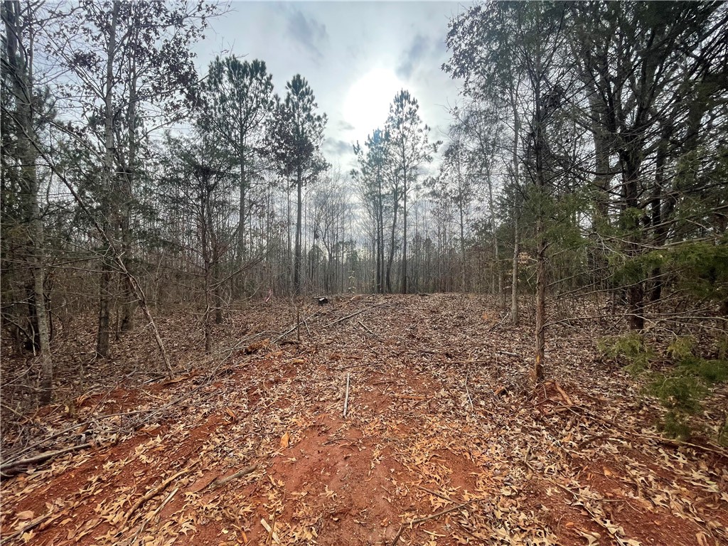 250 West Bryant Road West Union, SC 29696 - Photo 26 of 42 Gallery Image 26