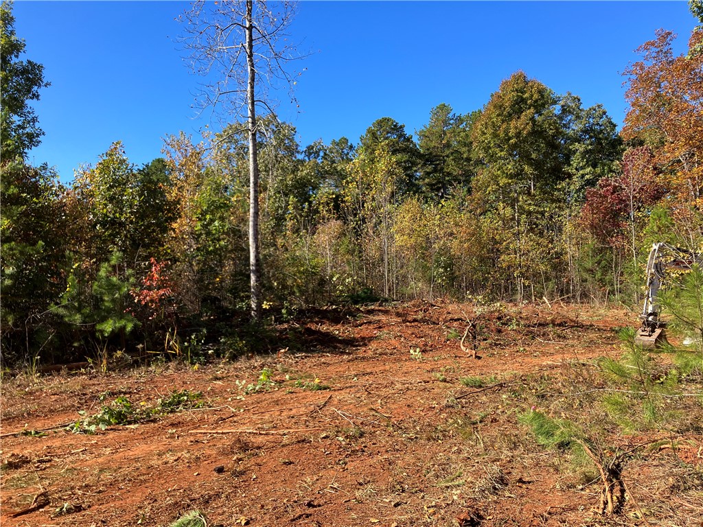 250 West Bryant Road West Union, SC 29696 - Photo 3 of 42 Gallery Image 3