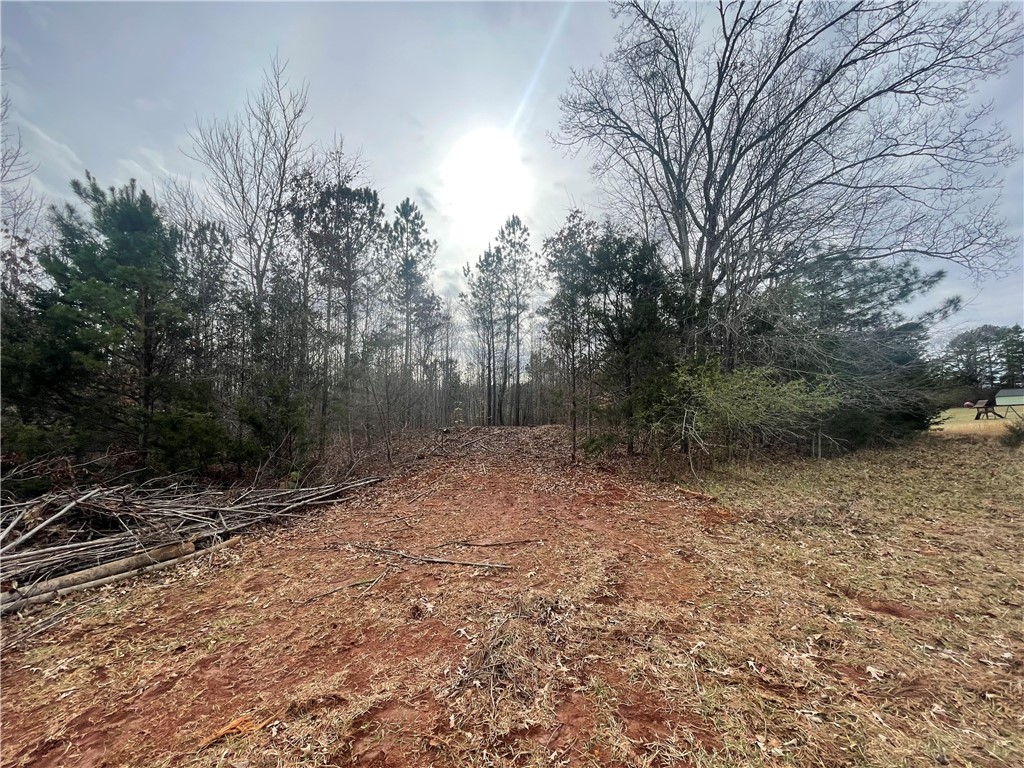 250 West Bryant Road West Union, SC 29696 - Photo 34 of 42 Gallery Image 34