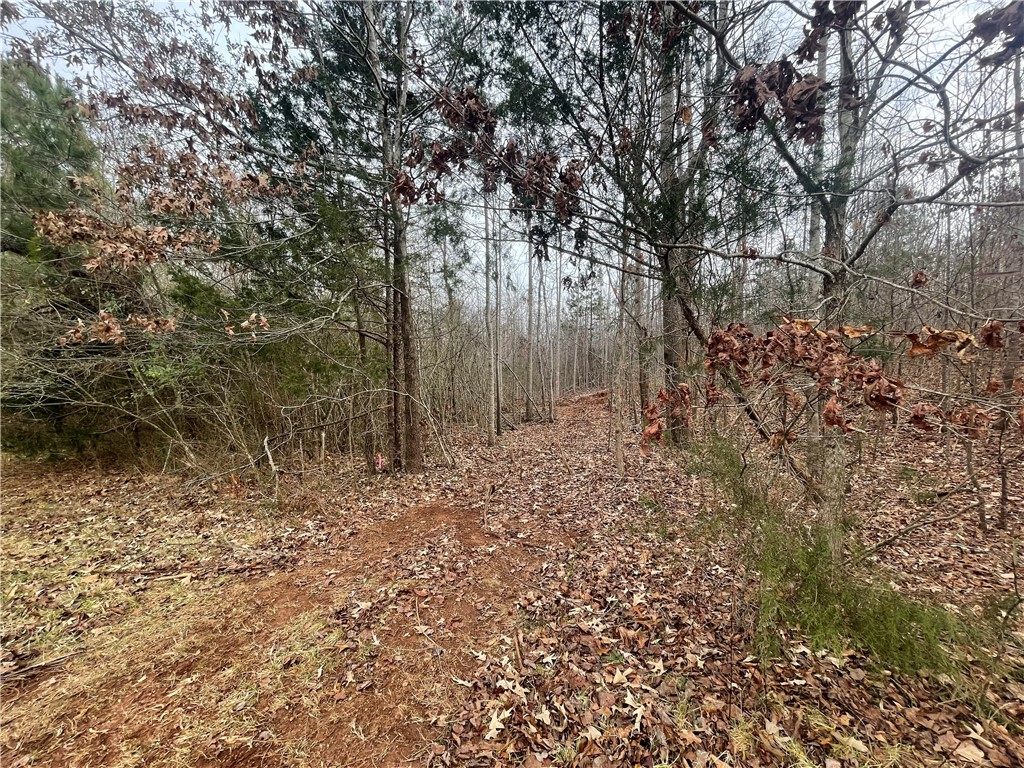 250 West Bryant Road West Union, SC 29696 - Photo 10 of 42 Gallery Image 10