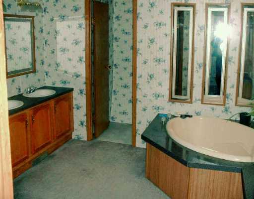 1439 Coffee Run Road Pulaski, PA 16143 - Photo 4 of 8 Master Bath/Spa.