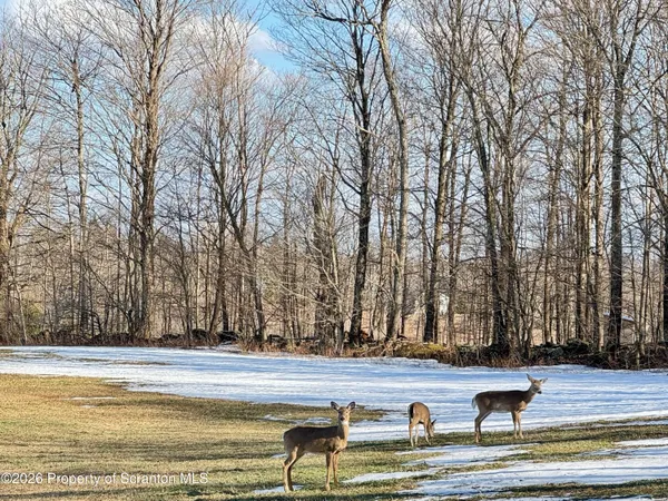 a view of a swimming pool with trees in the background