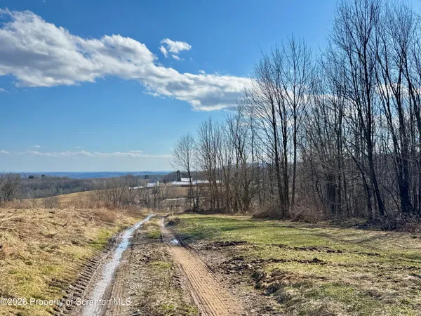 a view of a yard with an trees
